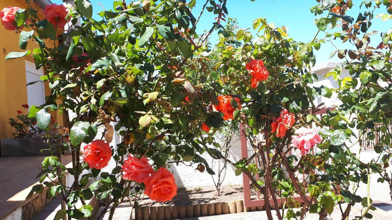 Casa Els Rosers Wifi L' Escala 外观 照片
